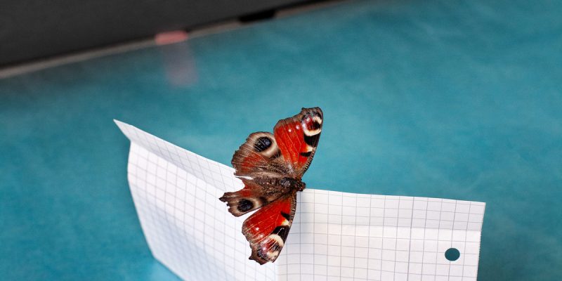 Vanja Bućan, Iz serije #Dialogi, 2024-